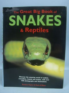 The Great Big Book of Snakes Reptiles by Taylor Oshea