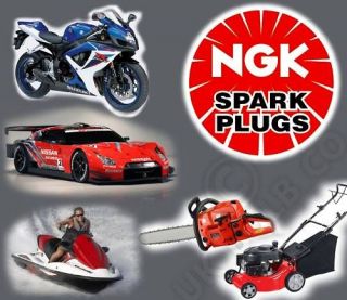 NGK Spark Plug D8EA #2120 Kazuma 250cc Models & Chinese 250cc quad 