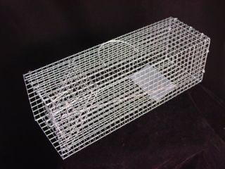 Newly listed Single Door RIGID LIVE TRAP   Cage   Mice Rat Squirrels