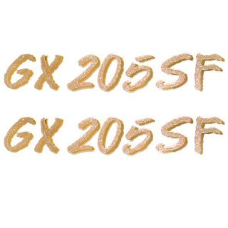 GLASTRON 0572442 METALLIC CHAMPAGNE / GOLD 8 IN GX 205SF BOAT DECAL 