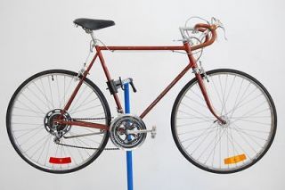 Vintage 1974 Schwinn Continental Chesnut Road Bicycle 24 Bike Dia 