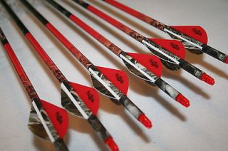Easton Flatline D.O.A. Microlite 340 arrows w/2 blazers custom 
