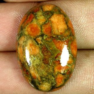 19.65Cts. GENUINE ORANGE BRONZE CORAL TURQUOISE OVAL CABOCHON 