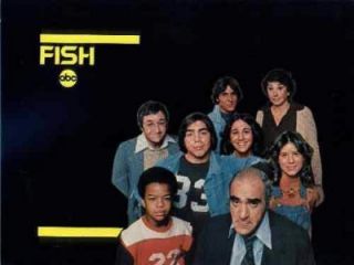 Fish Abe Vigoda Barney Miller Spin Off Volume 2 3 Episodes DVD RARE 