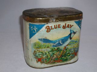 Blue Jay Tobacco Tin Cigar Advertising Vintage 464 P
