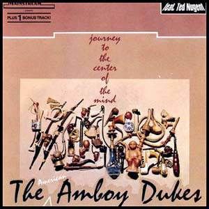 AMBOY DUKES Journey to the Center of Your Mind 60s Ted Nugent 180 Gram 