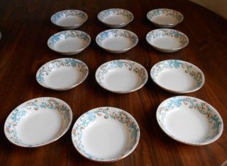 12 Vintage Brierley Alfred Meakin England Royal Semi Porcelain Small 