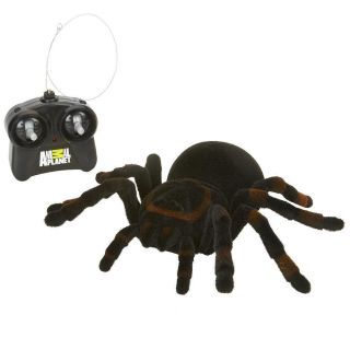 Animal Planet Radio Control Spider Tarantula