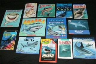   CHILDREN BOOK LOT ocean animal science sharks picture readers resource