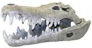Blue Ribbon Nile Crocodile Skull Mini Aquarium Decor