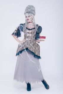 Marie Antoinette Ghost Stories Adult Womens Halloween Costume Fancy 