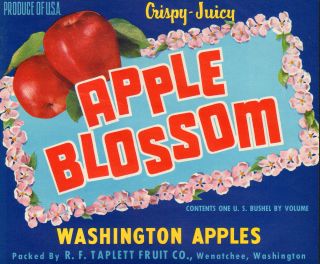 Apple Blossom Vintage Apple Crate Label Wenatchee WA
