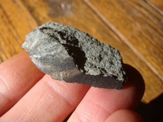 METEORITE New BATTLE MOUNTAIN Nevada Fall L6 Chondrite 20 77 gram