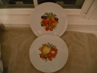 salad or dessert plates fruit in center Bareuther Waldssen Bavaria 