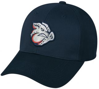   IRONPIGS ADULT Cap   Phillies Triple AAA Minor League Baseball Hat