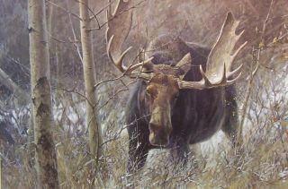   Original_Painting_by_famous wildlife artist and painter Robert Bateman