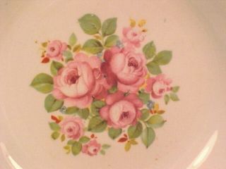 Vintage Pink Roses on Green Bowl Melvin Reichert PA