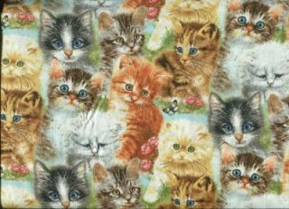 Playful Kitten Collection SWT Cats Cotton Quilt Fabric