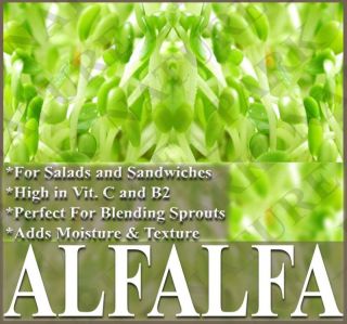 Alfalfa Seeds Organic Sprouting Sprouts Vit C Bulk