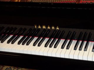 Yamaha 58 Model C2 Conservatory Grand MAGNIFICENT PIANO  BHA