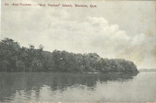 Ile Aux Vaches Berthier Quebec Canada 1915 30s Postcard