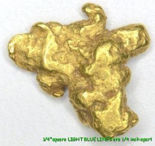 343 gram Bering Sea Nome Alaska Gold Nugget