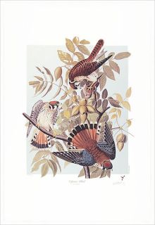 limited edition audubon m bernard loates sparrow hawk 744 1000