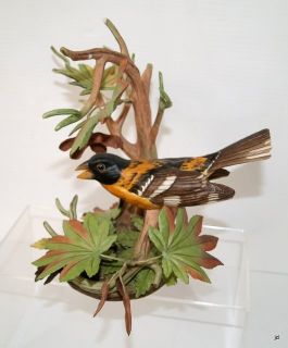 Boehm Black Headed Grosbeak Porcelain Bird Figurine