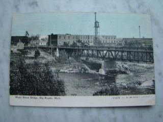   Postcard Maple Street Bridge Big Rapids Michigan Titnted Printed Photo
