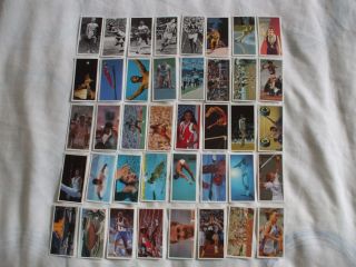 Brooke Bond Tea Cards Olympic Challenge 1992 Buy Individually Nos 1 