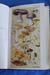   Book of Common Mushrooms, William Thomas, 1946, Illustrated, Reference
