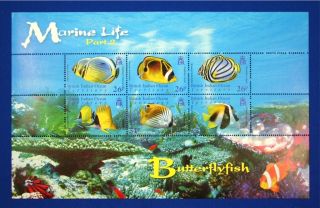 N028 Biot British Indian Ocean 2006 Butterfly Fish Corals Mini Sheet 