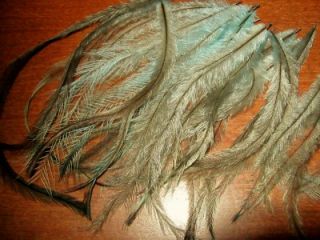 Feathers Hair Extension Emu Aqua Blue Fly Tying Craft