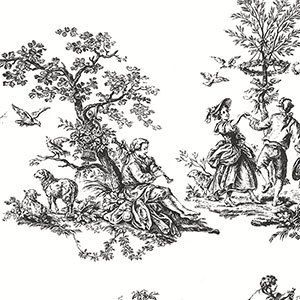 Black and White Toile Wallpaper French Country