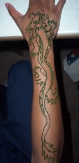   Gm Green Indian Mehndi Henna Tattoo Paste Tube Cone Body Art Temporary