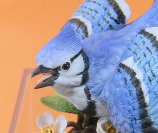 Beautiful Lenox Fine Porcelain Blue Jay Bird Figurine