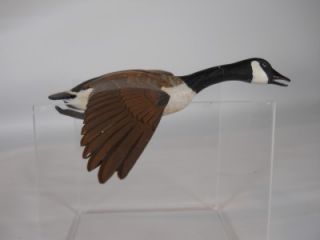Flying Canada Goose Geese Duck Decoy Miniature by Bob Miller