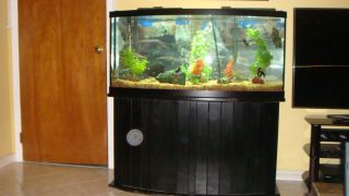   GALLON BOW FRONT FISH TANK EVERTHING INCLUDED FILTERS DECORATIONS FISH