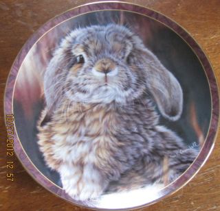 Bradford Exchange Collector Plate Bunny Tales IM All Ears