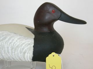 Drake Canvasback Decoy from The Bordentown Rig New Jersey by C Allsop 