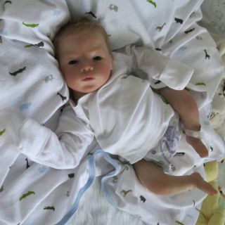 Doves Nursery ♥ Real Life Reborn Baby Boy ♥ A Cameron Klingman 