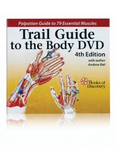 Trail Guide Body Palpation DVD 4th Edition 79 Muscles