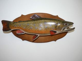 TAXIDERMY BEAUTIFUL MOUNTED FISH BROOK TROUT PROFESSIONALLY DONE