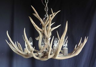 Real Muledeer Shed Antler 6 light Chandelier, Deer Lamp, elk, hunting 