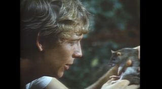   (1971 USA animal pest horror Borgnine / Bruce Davison original film