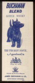 1903 James Buchanans Scotch Whisky Scottish Terrier Art UK Print Ad 