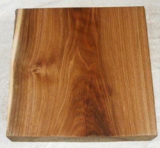 Butternut Hardwood Turning Wood Lumber Bowl 14 Wide 041501