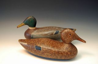 Ed Dowd Mallard Pair Duck Hunting Decoy Decoys All Original c 1930s WA 