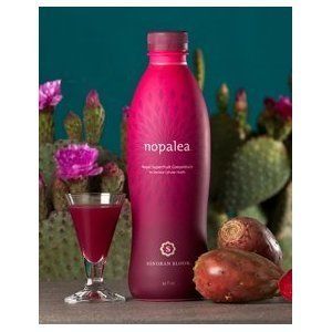  Nopalea Cactus Superfruit Juice Drink