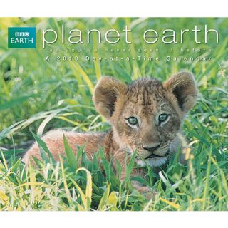 Planet Earth 2013 Desk Calendar